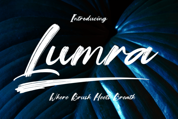 Lumra: A Script Font That Adds Soul to Campaigns