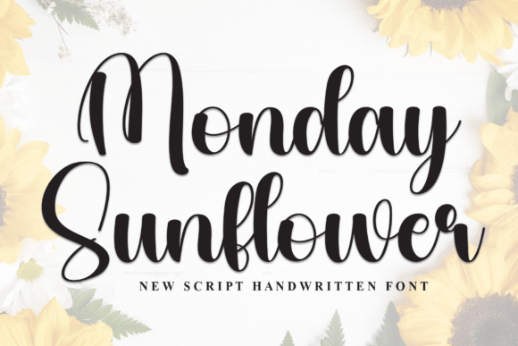 Monday Sunflower: A Script Font for Campaign Creativity
