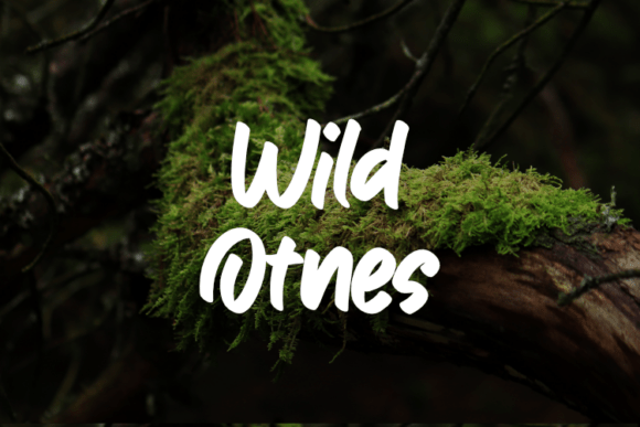 Wild Otnes: A Font That Breathes Life Into Your Editorial Design
